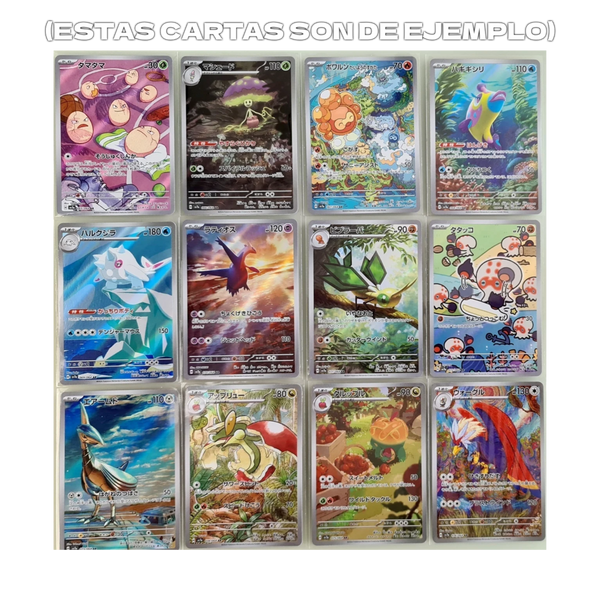 Cartas de ejemplo | 3 Modelos | POKÉMON | Japonés