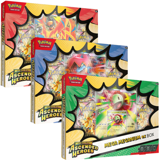 Mega Meganium/Emboar/Feraligatr ex Box | POKÉMON | Inglés
